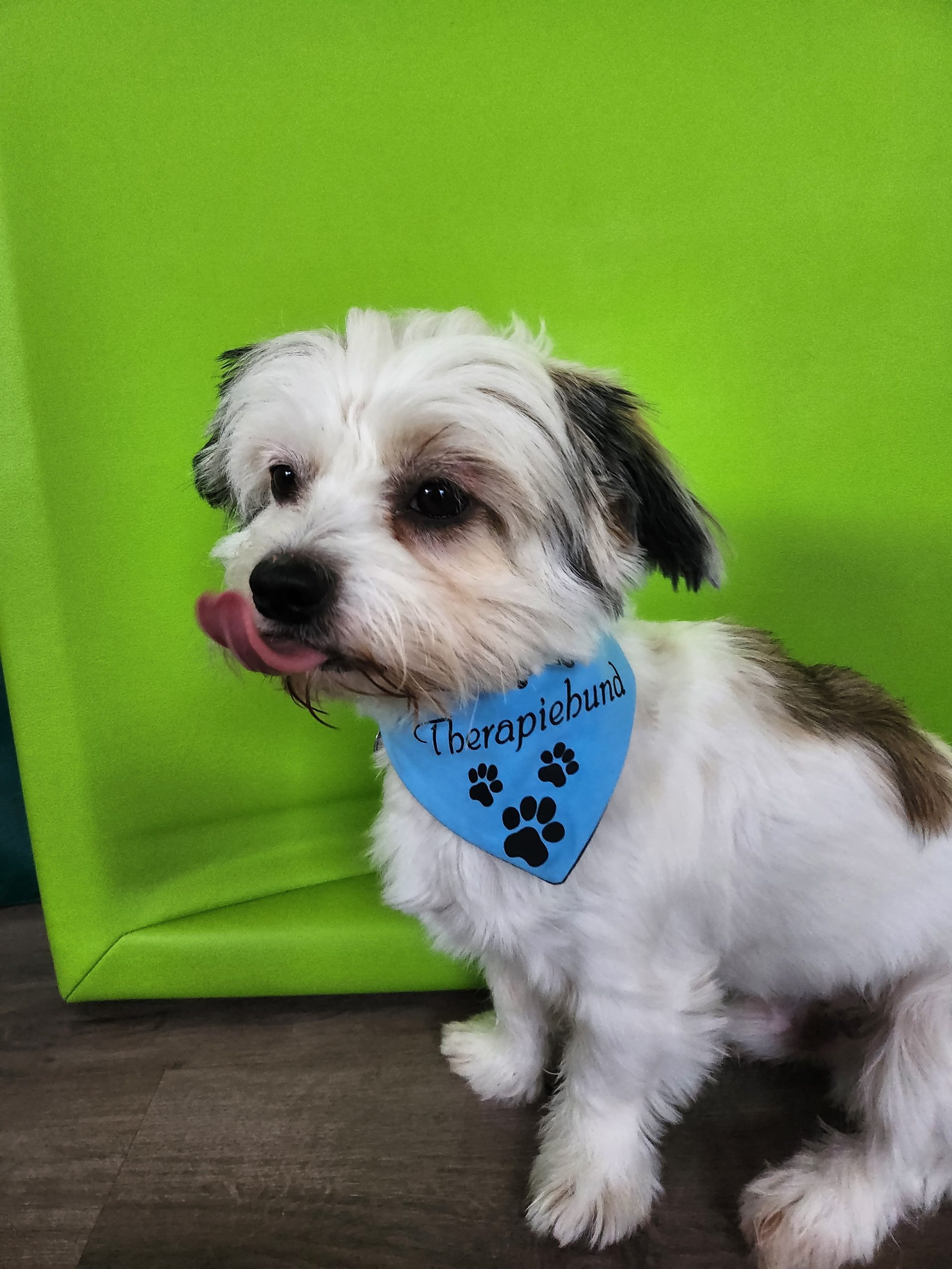 20251010_132620 (002)